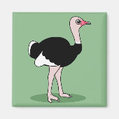 Aimant Ostrich (Devant)