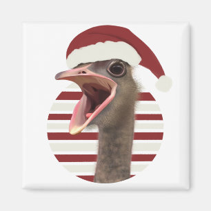 Aimant Ostrich de Noël joyeux avec chapeau de Père Noël