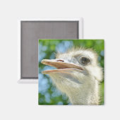 Aimant Ostrich Funny Portrait Photo (Recto/Verso)