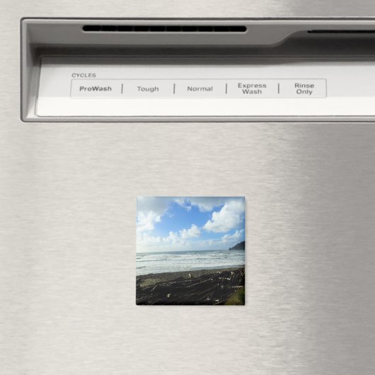 Aimant Oswald West State Park, Oregon Coast (In Situ (Lave-vaisselle))