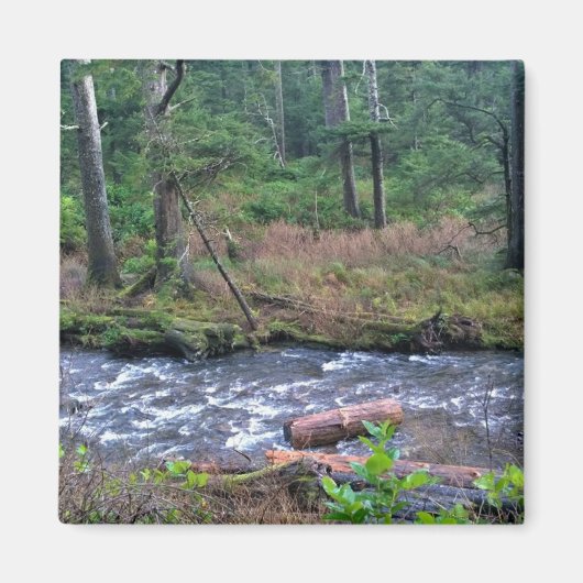 Aimant Oswald West State Park, Oregon Coast (Devant)