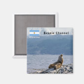 Aimant Otaries dans le canal de Beagle - Argentine (Recto/Verso)
