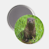 Aimant Otter (Recto/Verso)