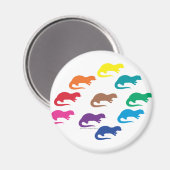 Aimant Otter arc-en-ciel (Recto/Verso)