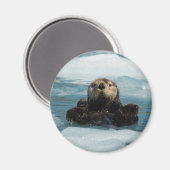 Aimant Otter flottante (Recto/Verso)