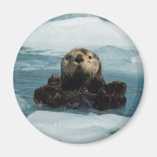 Aimant Otter flottante