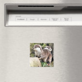 AIMANT OTTERS (In Situ (Lave-vaisselle))