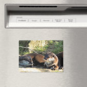 AIMANT OTTERS (In Situ (Lave-vaisselle))