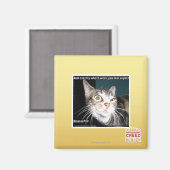 Aimant Où étais-tu ? (Recto/Verso)