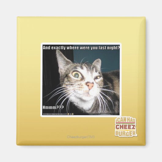 Aimant Où étais-tu ? (Devant)