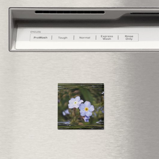 Aimant Oublie-moi pas les fleurs (In Situ (Lave-vaisselle))