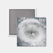 Aimant Ouragan Cat 5 (Recto/Verso)