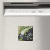 Aimant Ouragan Katrina 4 (In Situ (Lave-vaisselle))