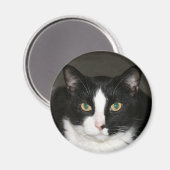 Aimant Ours (Recto/Verso)