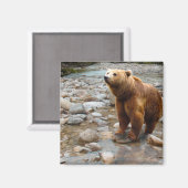 Aimant Ours Brown dans le ruisseau (Recto/Verso)