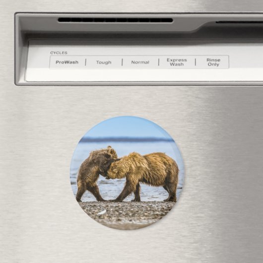 Aimant Ours brun côtier (In Situ (Lave-vaisselle))
