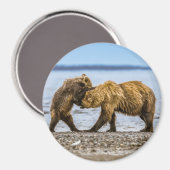 Aimant Ours brun côtier (Recto/Verso)