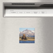 Aimant ours brun, Ursus arctos, grizzli, Ursus (In Situ (Lave-vaisselle))