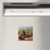 Aimant Ours dans le Patch de la pastèque (par W.H. Beard) (In Situ (Lave-vaisselle))