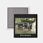 Aimant Ours de la faune Amoureux des animaux Design (Recto/Verso)