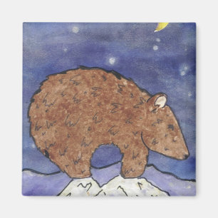 Aimant Ours de minuit