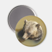 Aimant Ours grizzly (Recto/Verso)