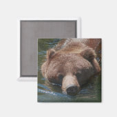 Aimant Ours grizzly (Recto/Verso)