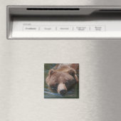 Aimant Ours grizzly (In Situ (Lave-vaisselle))