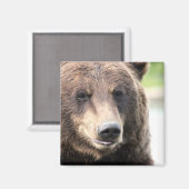 Aimant Ours Grizzly Brun (Recto/Verso)