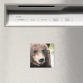 Aimant Ours Grizzly Brun (In Situ (Lave-vaisselle))