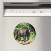 Aimant Ours noir alpha (In Situ (Lave-vaisselle))