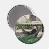 Aimant Ours noir dans Hammock (Recto/Verso)
