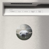 Aimant Ours polaire (In Situ (Lave-vaisselle))
