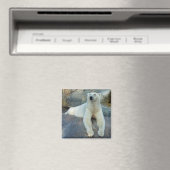 Aimant Ours polaire (In Situ (Lave-vaisselle))