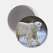 Aimant Ours polaire (Recto/Verso)