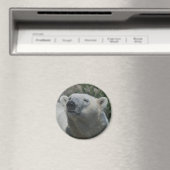Aimant Ours Polaire (In Situ (Lave-vaisselle))