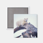 Aimant Ours polaire au-dessus d'une mâchoire de baleine b (Recto/Verso)