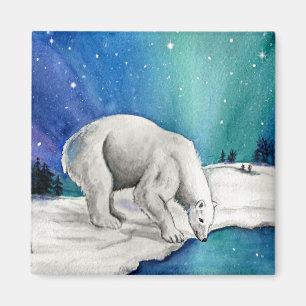 Aimant Ours polaire auroral