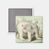 Aimant Ours polaire vintage (Recto/Verso)