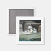 Aimant Ours polaires (Recto/Verso)