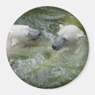 Aimant Ours polaires amusants à l'eau