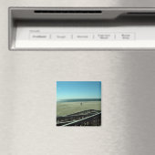 Aimant oursins (In Situ (Lave-vaisselle))