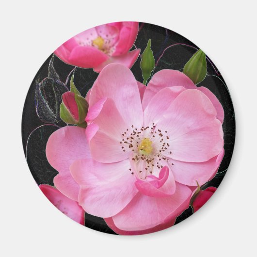 Aimant ouverture de minuscule rosebud (Devant)