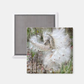 Aimant Ouvrir les pots d'algues | Graines avec soie | (Recto/Verso)