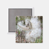 Aimant Ouvrir les pots d'algues | Graines avec soie | Bur (Recto/Verso)