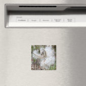 Aimant Ouvrir les pots d'algues | Graines avec soie | Bur (In Situ (Lave-vaisselle))