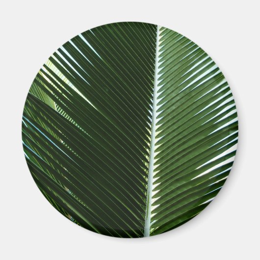 Aimant Overlapping Palm Fronds Tropical Green Abstract (Devant)