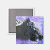 Aimant Owl Barn Shed (Recto/Verso)