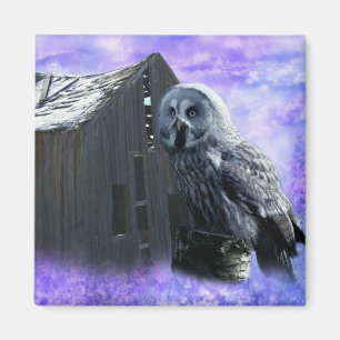 Aimant Owl Barn Shed