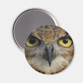 Aimant Owl Eyes (Recto/Verso)